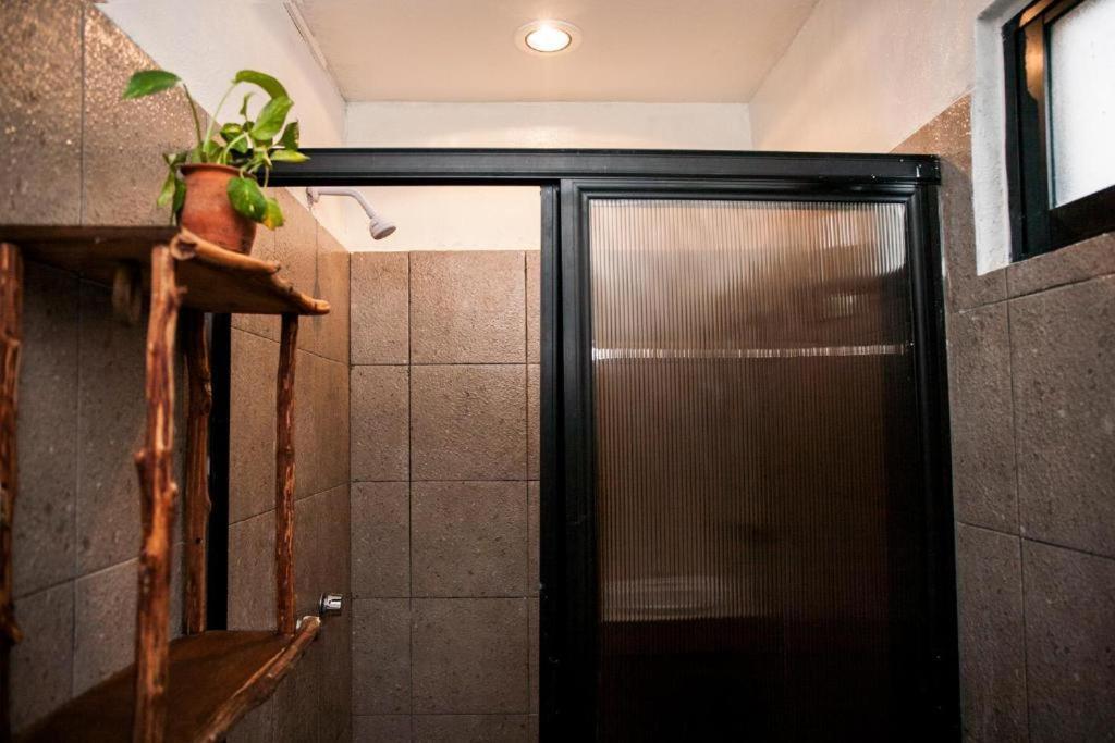 The All Inclusive Hostel - Food, Drinks And Transportation To The Beach And Cenotes Tulum Exterior foto